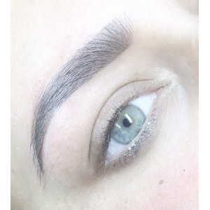 Sourcils (effet ombré)